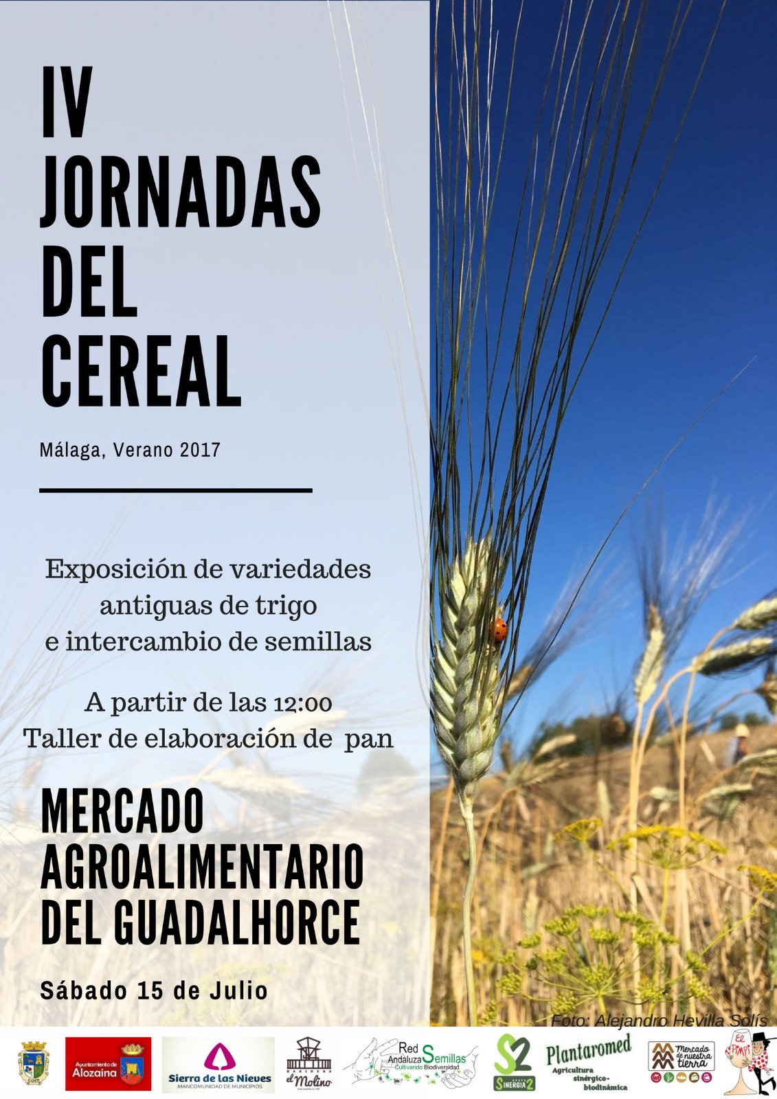 Cartel IV Jornada cereales